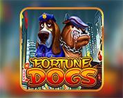 Fortune Dogs